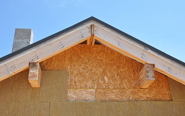 Best Storm Damage Siding Repair  in North College Hill, OH